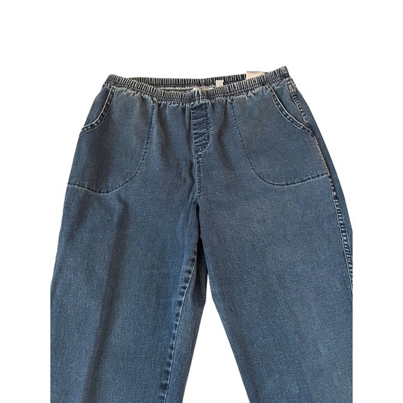 D & Co. Blue Jean Denim Elastic Waist Stretch Jeans Women's Size 1XP - Picture 2 of 7